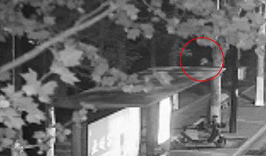 皇冠信用网登2代理申请_看到这种人脸皇冠信用网登2代理申请，立即警惕！已有人报案