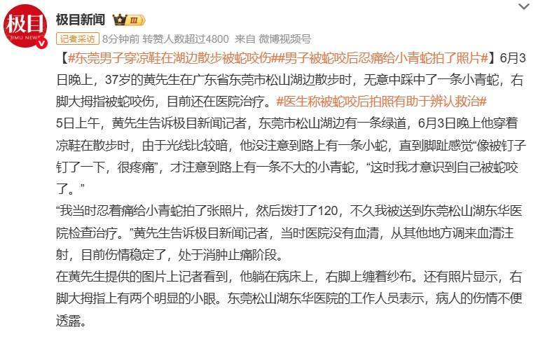 皇冠信用网登3代理_随意放生“五步蛇”？被毒蛇咬伤皇冠信用网登3代理，这一动作能“保命”