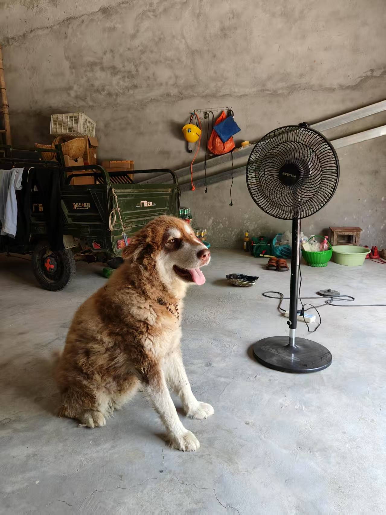 皇家马德里足球_00后女孩醉驾时速174公里撞死3人皇家马德里足球，逝者母亲：我每天都活在痛苦中