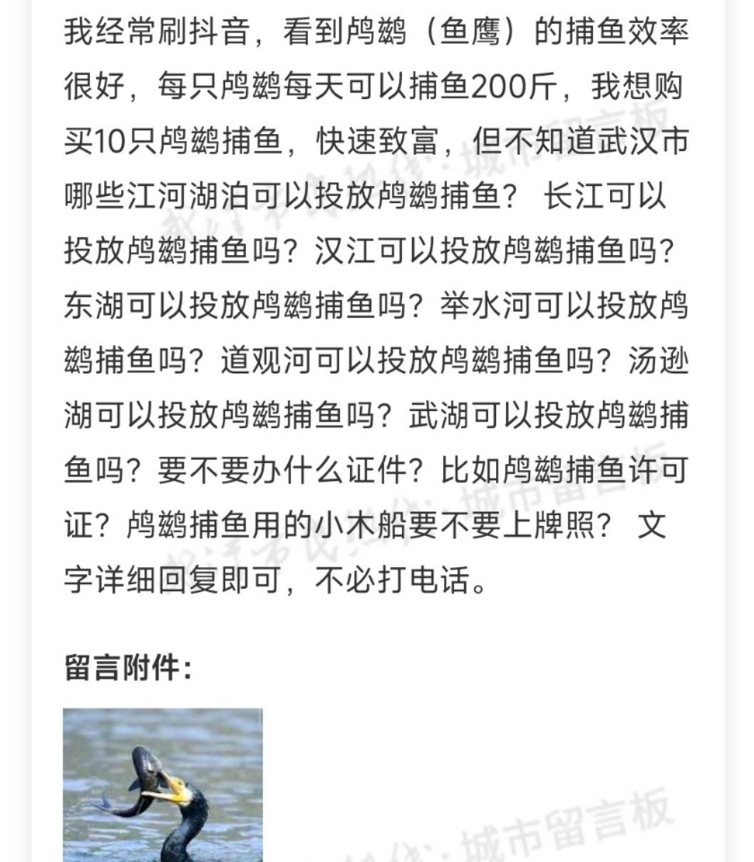 拜仁慕尼黑v小保加_市民欲买10只鸬鹚在长江捕鱼致富拜仁慕尼黑v小保加，水务局：它是禁用渔具，在禁渔区使用最高可判三年