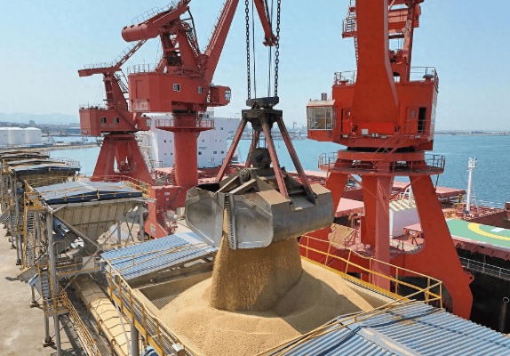 皇冠信用網_攻守易型了！中国又走了一步好棋皇冠信用網，出手签下3万吨大单，太罕见