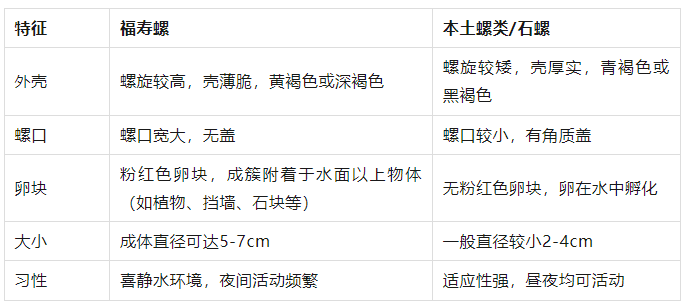 林肯城VS雷丁_别吃林肯城VS雷丁，寄生虫多达上千条！武汉公园连夜清出130多斤