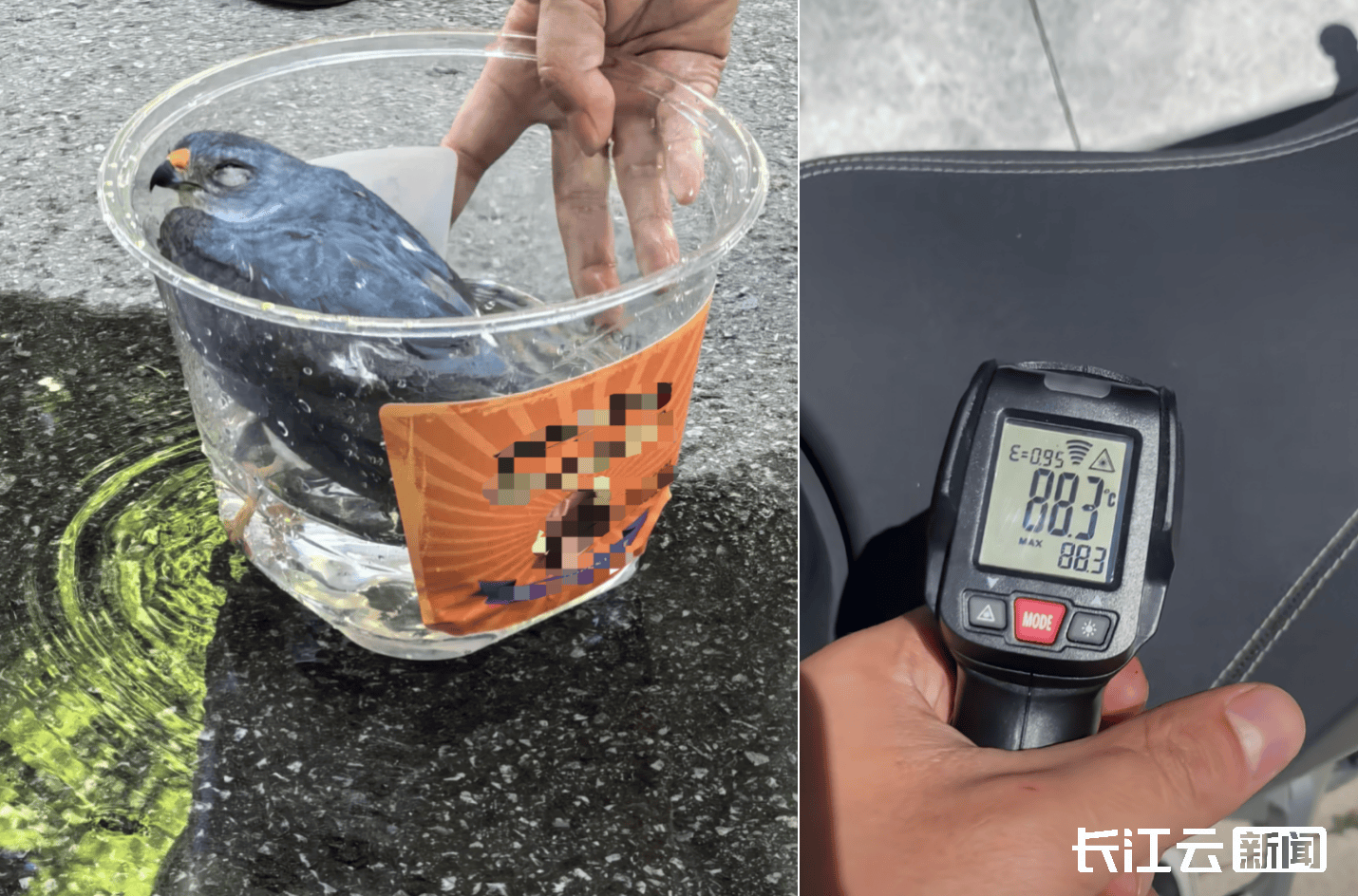 2025-2026意大利青年联赛赛程积分_最高39.5℃2025-2026意大利青年联赛赛程积分！湖北未入伏为何这么热？降雨就在……