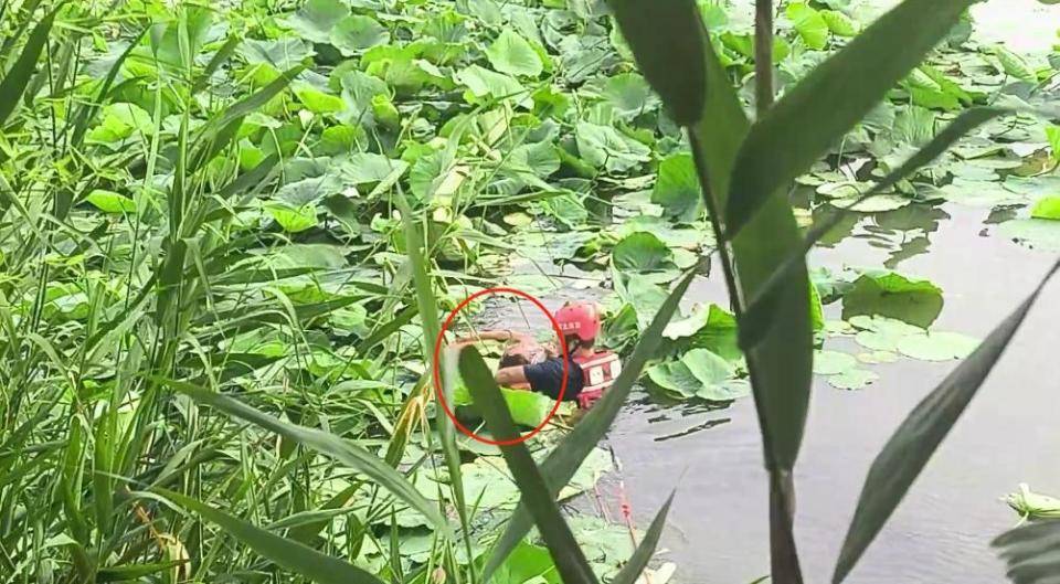 切辛纳青年队VS博洛尼亚青年队_大爷喝醉酒下河“凉快凉快”切辛纳青年队VS博洛尼亚青年队，结果发现自己不会游泳？