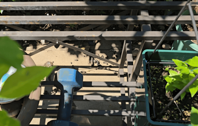 昂热VS巴黎足球会_上海一小区居民苦恼新邻居：突然搬来让人提心吊胆昂热VS巴黎足球会！不能抓不能打