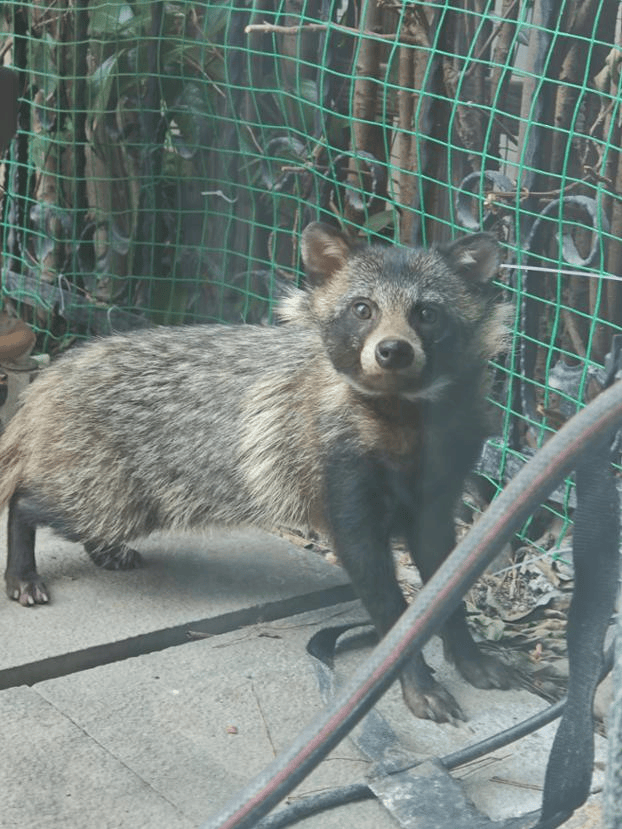 昂热VS巴黎足球会_上海一小区居民苦恼新邻居：突然搬来让人提心吊胆昂热VS巴黎足球会！不能抓不能打