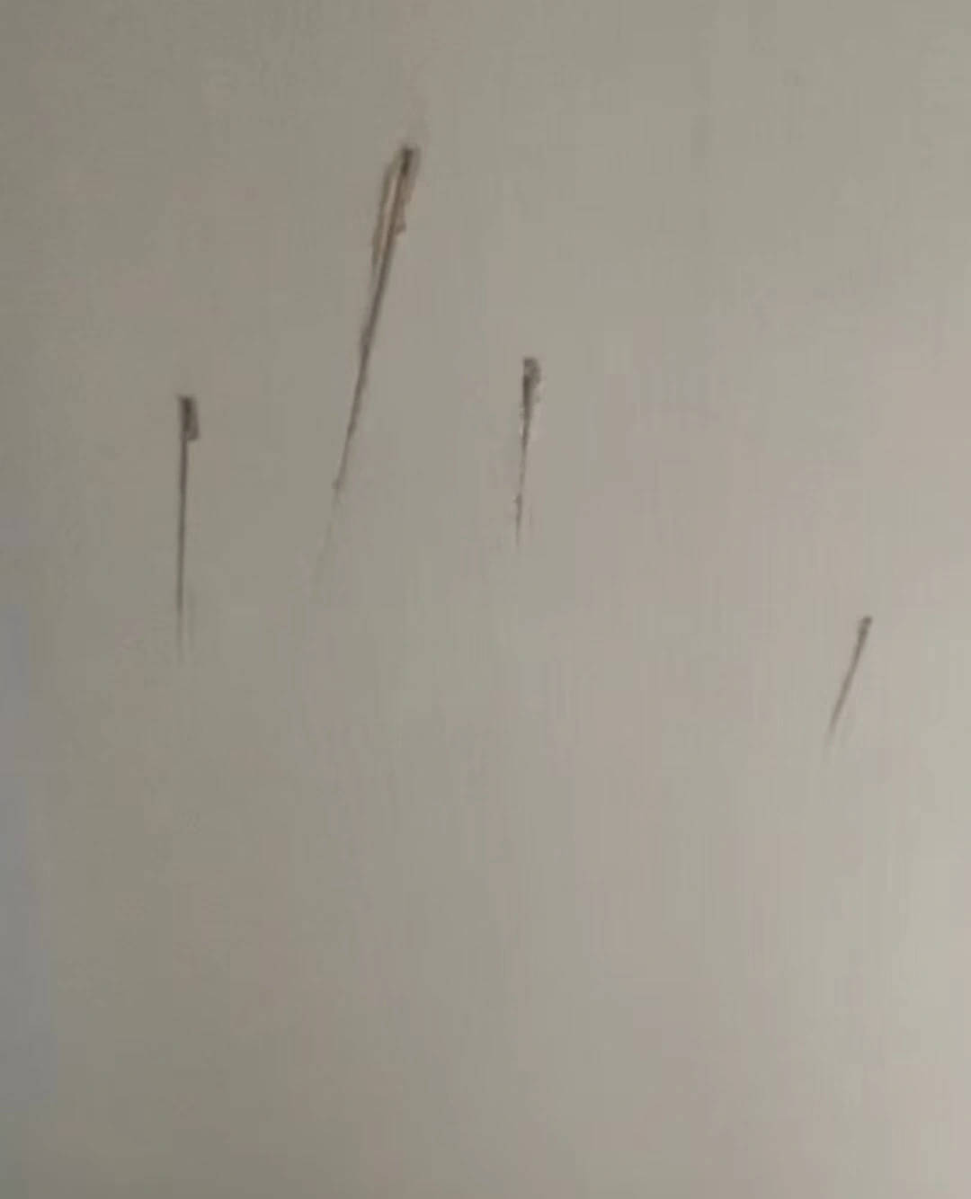 皇冠信用網代理_陕西一护士被同居男友杀害皇冠信用網代理，日记称长久遭受暴力威胁，家属希望追加虐待罪名，最新进展