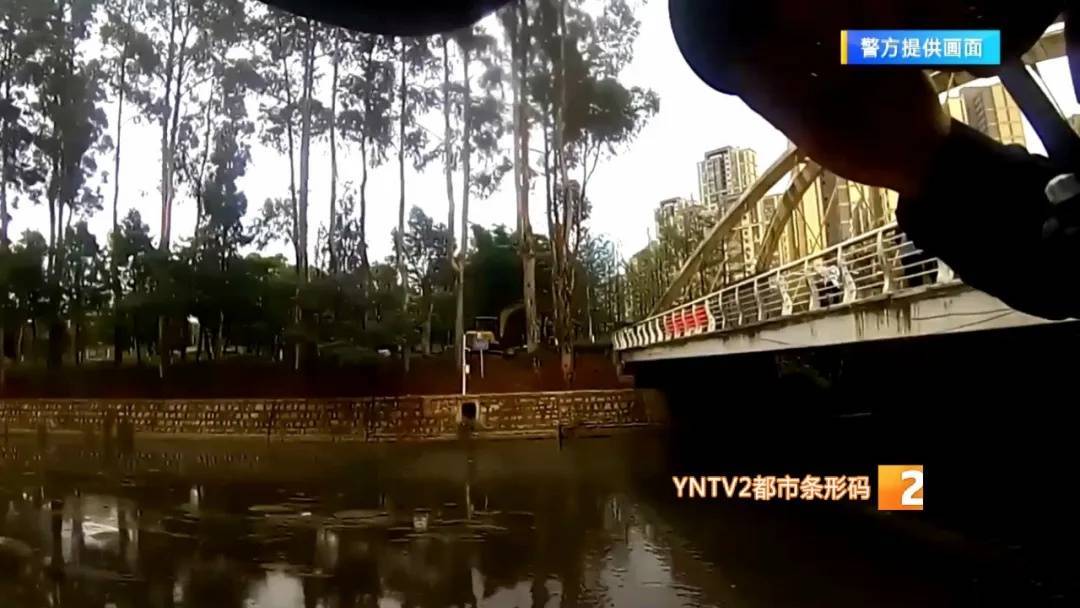 皇冠信用網会员账号_市民在盘龙江里发现“娃娃鱼”皇冠信用網会员账号？经确认却是……