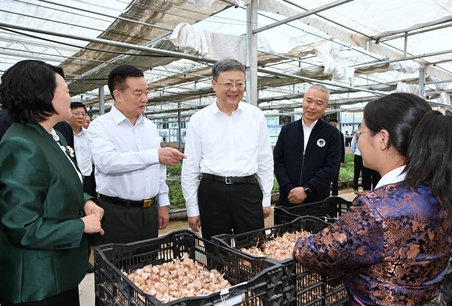 皇冠信用网结算日_陈吉宁率上海市代表团深入西藏日喀则学习考察皇冠信用网结算日，推动对口支援各项工作走深走实