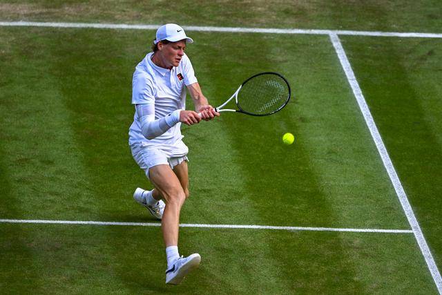 介绍个信用网址多少_新华图讯｜辛纳首夺温网男单冠军