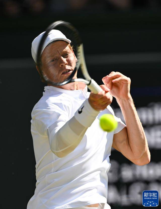 介绍个信用网址多少_新华图讯｜辛纳首夺温网男单冠军