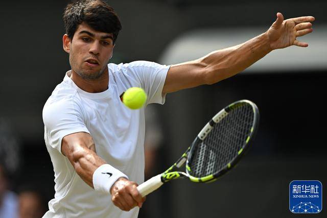 介绍个信用网址多少_新华图讯｜辛纳首夺温网男单冠军