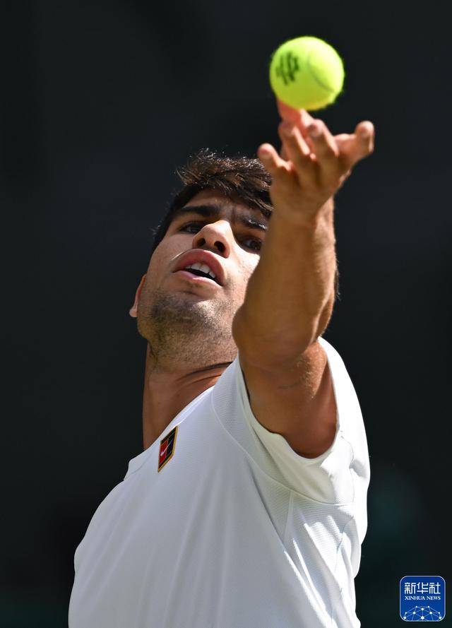 介绍个信用网址多少_新华图讯｜辛纳首夺温网男单冠军