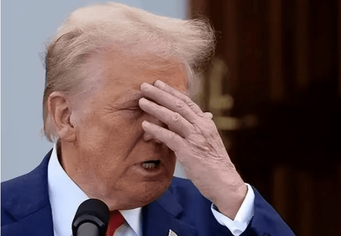 皇冠信用网在线开户_不服美国的国家出现了皇冠信用网在线开户，宣布对美征50%关税，特朗普担忧的来了