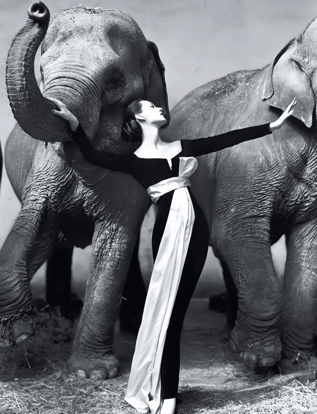 皇冠皇冠足球平台_一个日本富二代皇冠皇冠足球平台，花7000万买了个二手铂金包，内幕是……