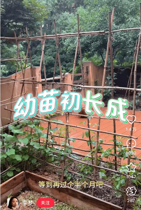 欧洲女子足球锦标赛_知名女演员官宣：欧洲女子足球锦标赛我搬到杭州了