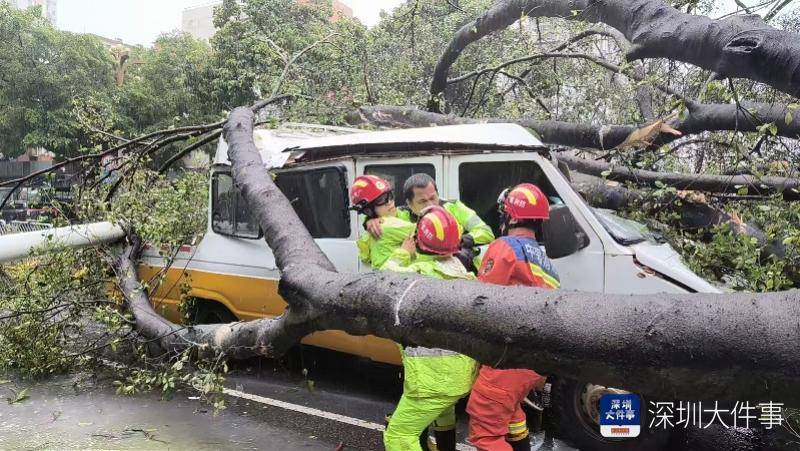 皇冠信用网会员开户_强风袭击皇冠信用网会员开户，深圳已出现树木倒伏！有行人被砸伤，非必要不出门