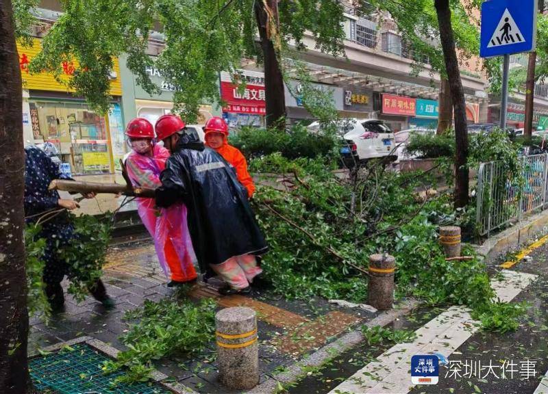 皇冠信用网会员开户_强风袭击皇冠信用网会员开户，深圳已出现树木倒伏！有行人被砸伤，非必要不出门