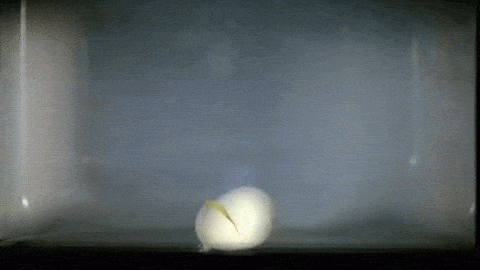 皇冠信用網在哪里开通_突然爆炸皇冠信用網在哪里开通！知名女演员自曝：痛到大哭眩晕