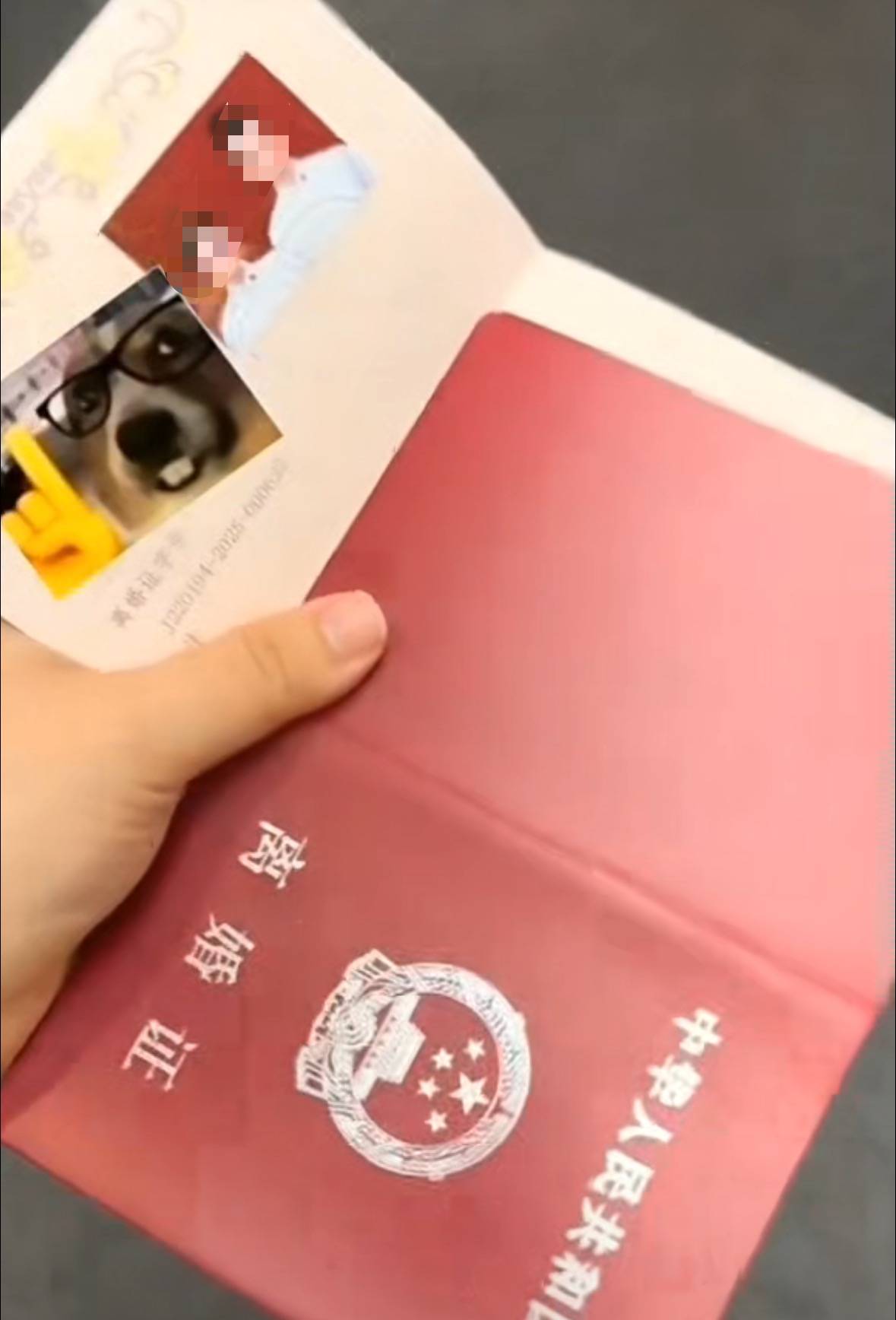 怎么开通皇冠信用網口_结婚证发成离婚证！网友调侃“第一次见合照的离婚证”怎么开通皇冠信用網口，长春一民政局：发错了，已道歉