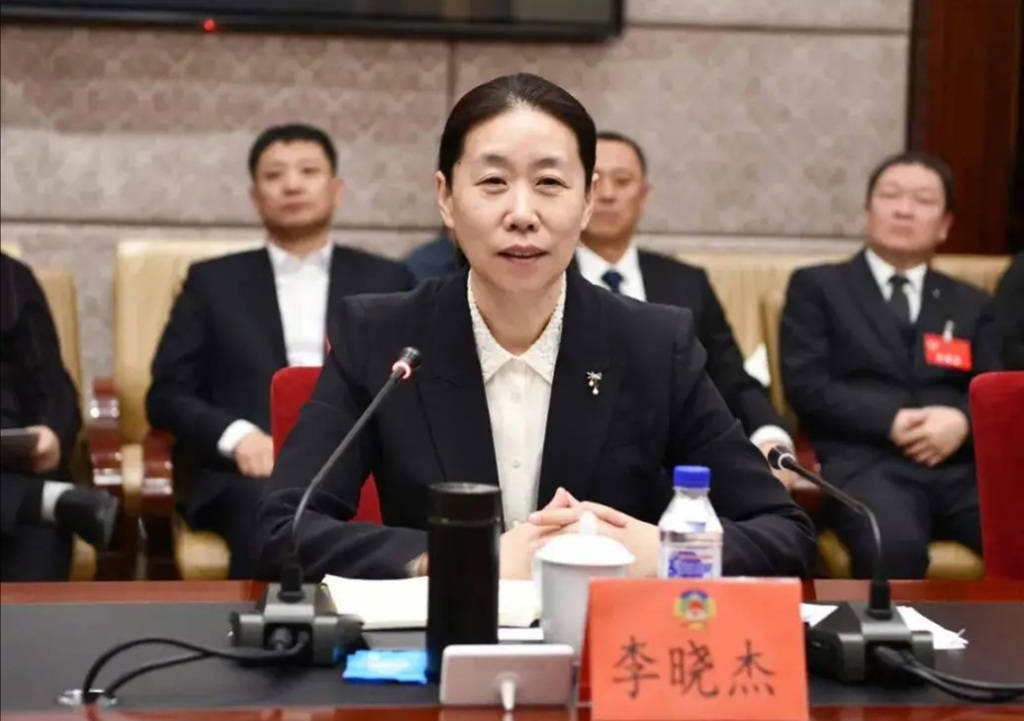 德国甲组联赛_吉林省松原市委书记李晓杰调任吉林省审计厅党组书记