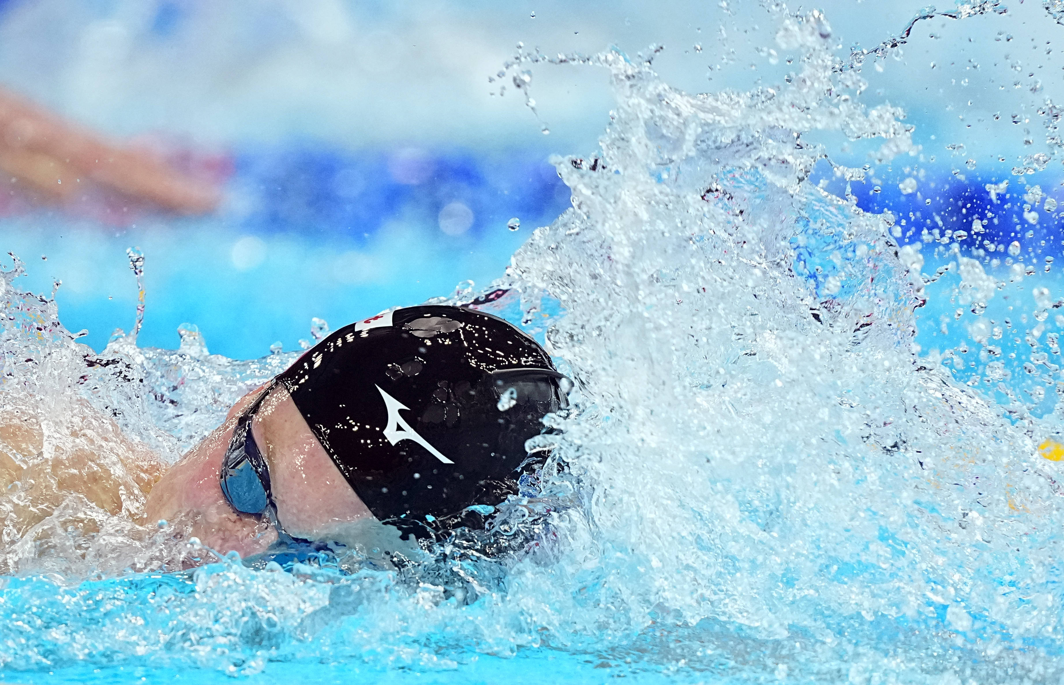 信用平台出租_（游泳世锦赛）游泳——男子200米自由泳决赛赛况