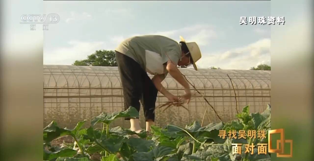 皇冠信用网怎么申请_面对面丨中国人的吃瓜自由要感谢她皇冠信用网怎么申请！吴明珠说她的一生就是结几个好瓜献给人民