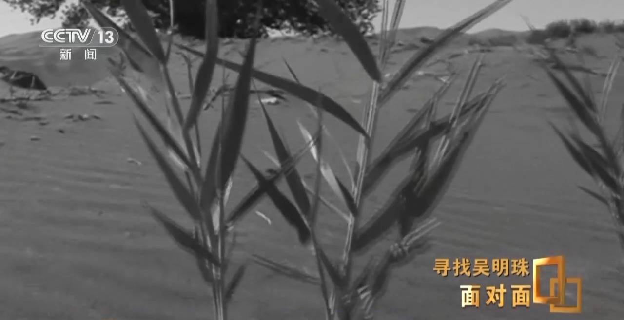 皇冠信用网怎么申请_面对面丨中国人的吃瓜自由要感谢她皇冠信用网怎么申请！吴明珠说她的一生就是结几个好瓜献给人民