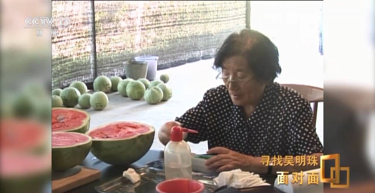 皇冠信用网怎么申请_面对面丨中国人的吃瓜自由要感谢她皇冠信用网怎么申请！吴明珠说她的一生就是结几个好瓜献给人民