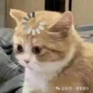 皇冠代理联系方式_离婚三年又被拍到亲密逛超市皇冠代理联系方式，他俩这是纯带娃还是真复合了？