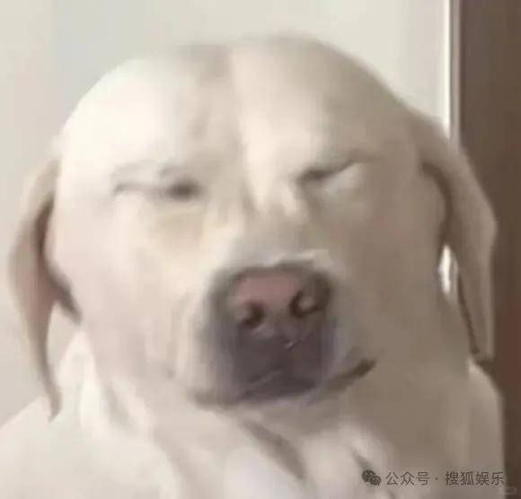 皇冠代理联系方式_离婚三年又被拍到亲密逛超市皇冠代理联系方式，他俩这是纯带娃还是真复合了？