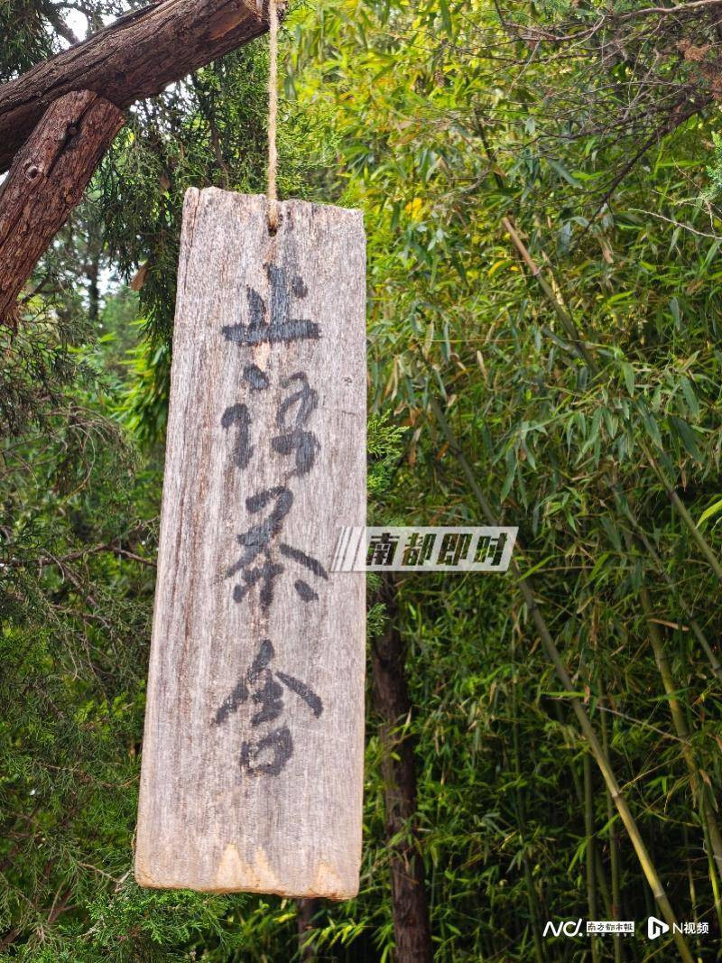 皇冠体育App下载_两座千年古刹今与昔：实探经历掌门变换的少林寺和白马寺