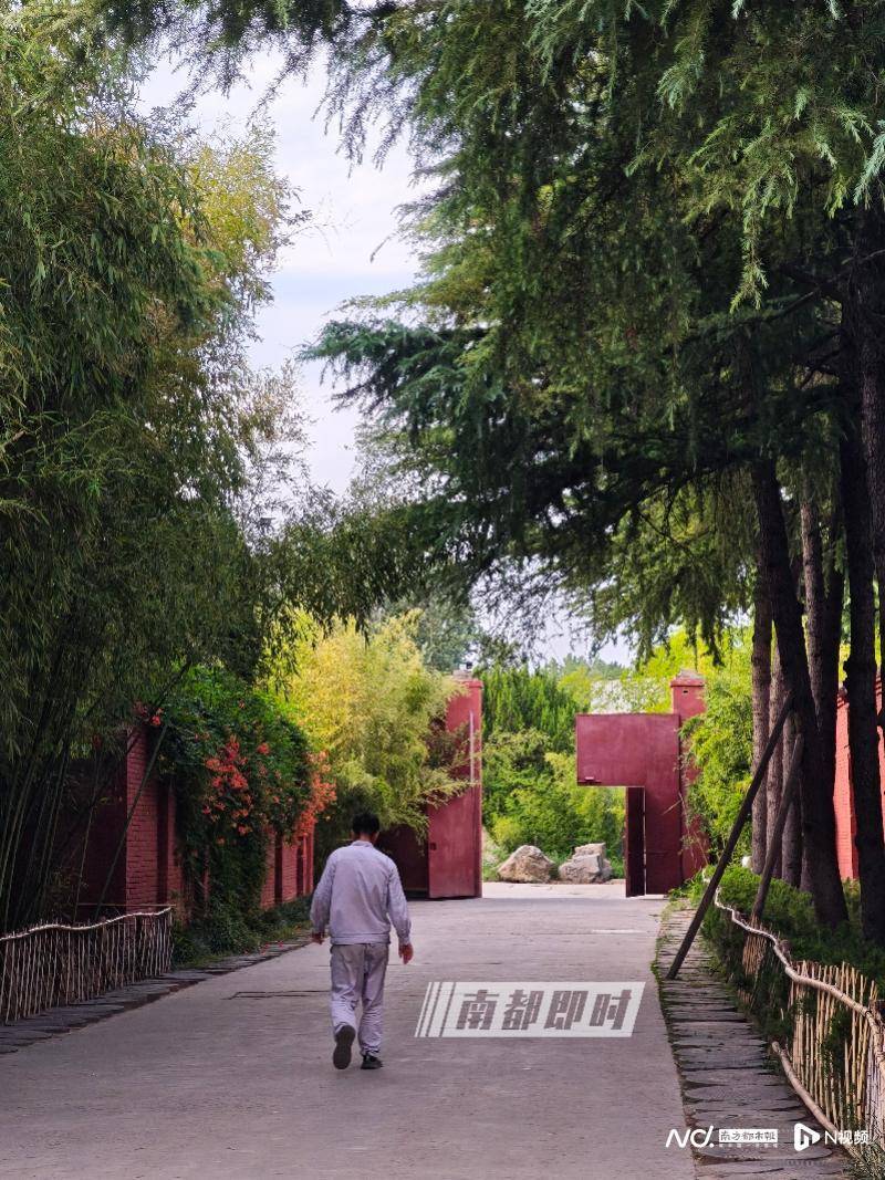 皇冠体育App下载_两座千年古刹今与昔：实探经历掌门变换的少林寺和白马寺