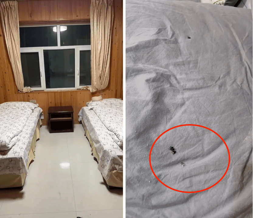 皇冠信用網_99元豪华游皇冠信用網，被骗到内裤不剩