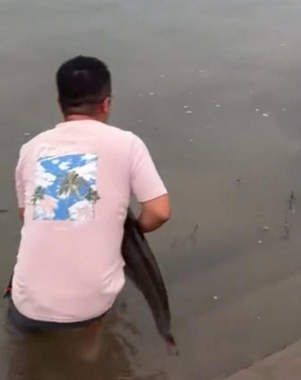 皇冠信用網会员_四川一男子钓1米长大鱼后放生皇冠信用網会员，围观者高呼“卖给我”，回应：钓鱼是为娱乐