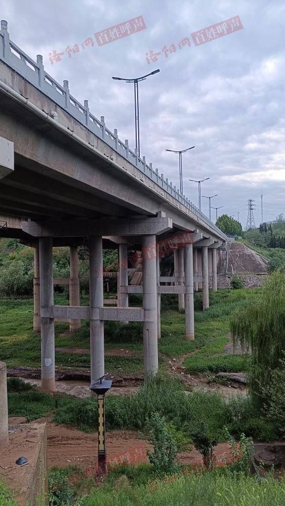 皇冠皇冠代理平台_河南洛阳一桥梁下方边坡被雨水冲刷出现坍塌皇冠皇冠代理平台，网友担心安全！当地：会去核实处理