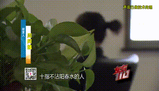 皇冠信用网账号注册_“从小不缺钱皇冠信用网账号注册，父母百依百顺”，53岁啃老女花光父亲遗产后，又盯上……