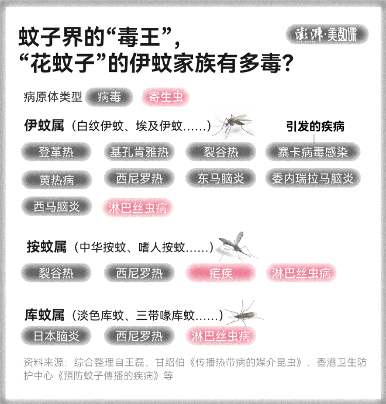 皇冠信用盘占成代理_全球“最毒”的蚊子皇冠信用盘占成代理，为何批量北上
