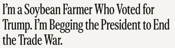 皇冠信用網需要押金吗_大豆玉米大丰收皇冠信用網需要押金吗，美国农民更欲哭无泪：中国一船都没买…