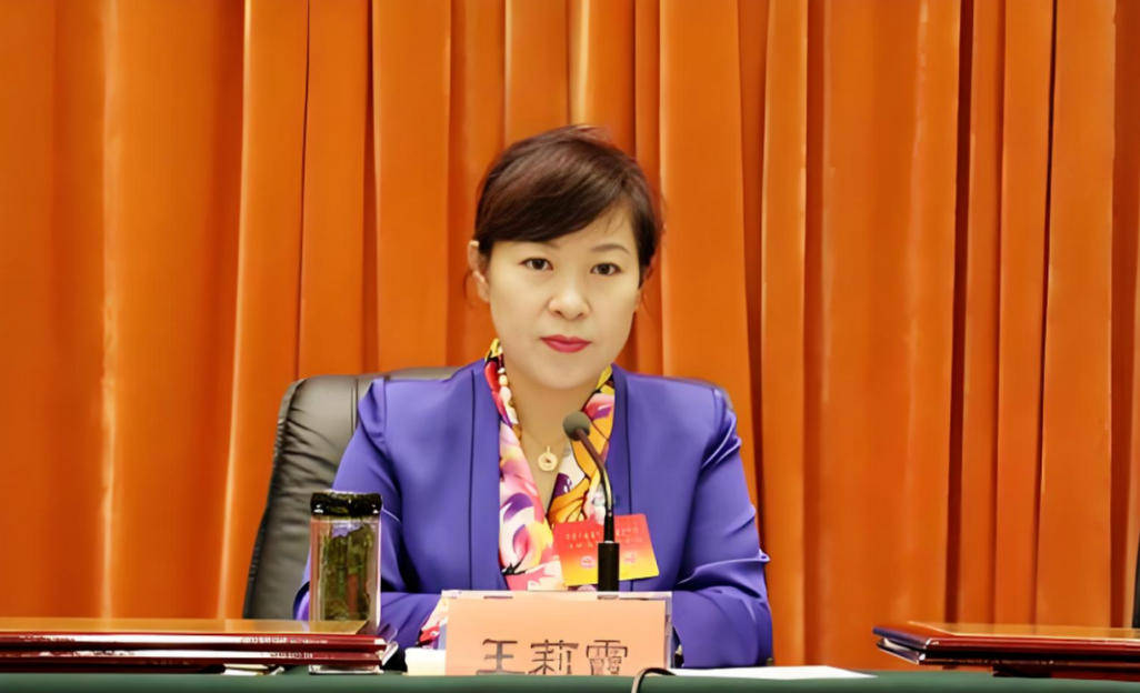 艾里斯vs阿波罗利马素尔_“换装主席”王莉霞的堕落：从光鲜人设到腐败深渊