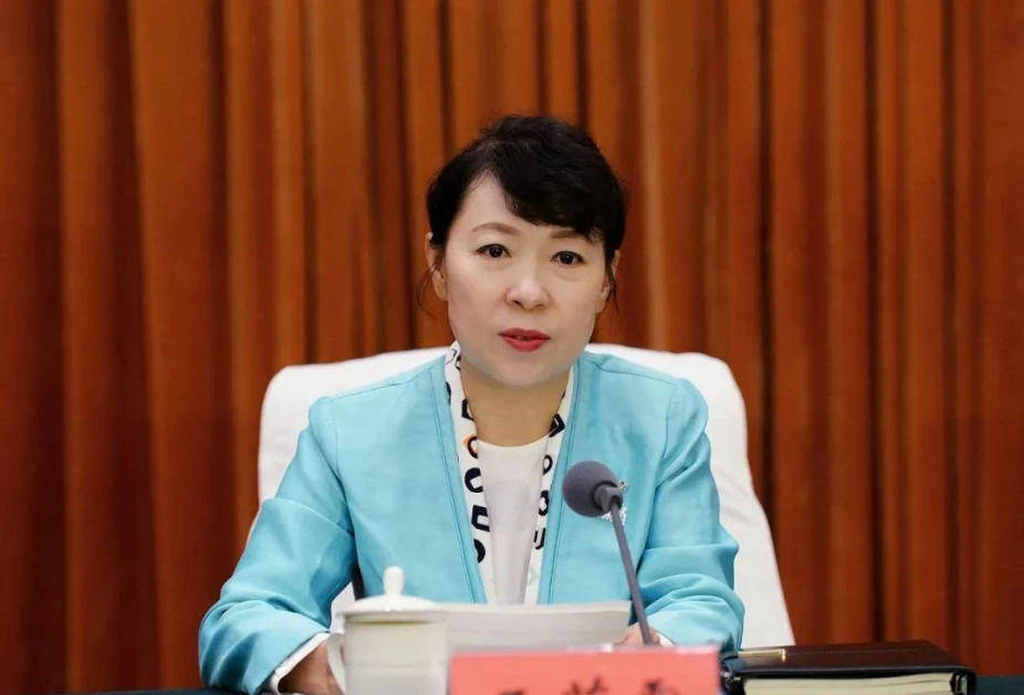 艾里斯vs阿波罗利马素尔_“换装主席”王莉霞的堕落：从光鲜人设到腐败深渊