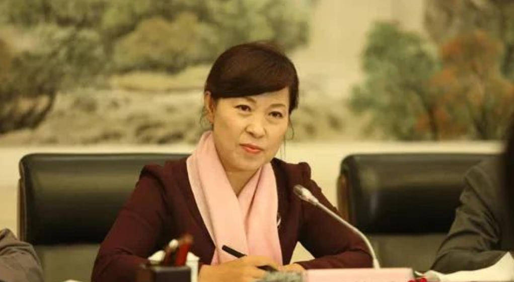 艾里斯vs阿波罗利马素尔_“换装主席”王莉霞的堕落：从光鲜人设到腐败深渊