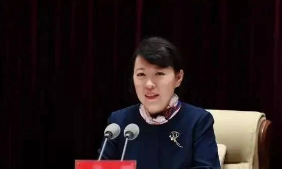 艾里斯vs阿波罗利马素尔_“换装主席”王莉霞的堕落：从光鲜人设到腐败深渊