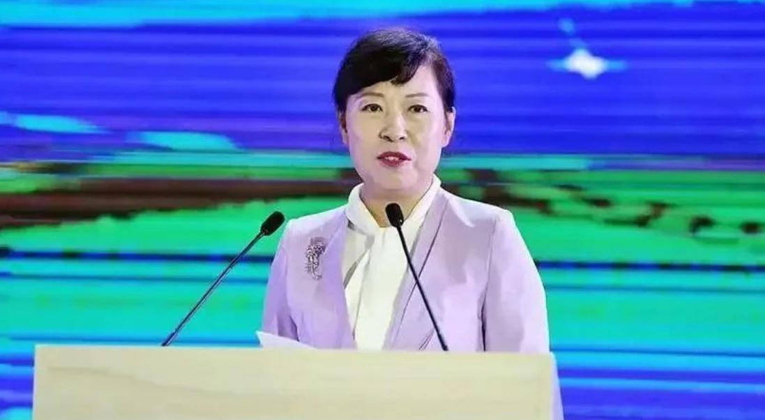 艾里斯vs阿波罗利马素尔_“换装主席”王莉霞的堕落：从光鲜人设到腐败深渊