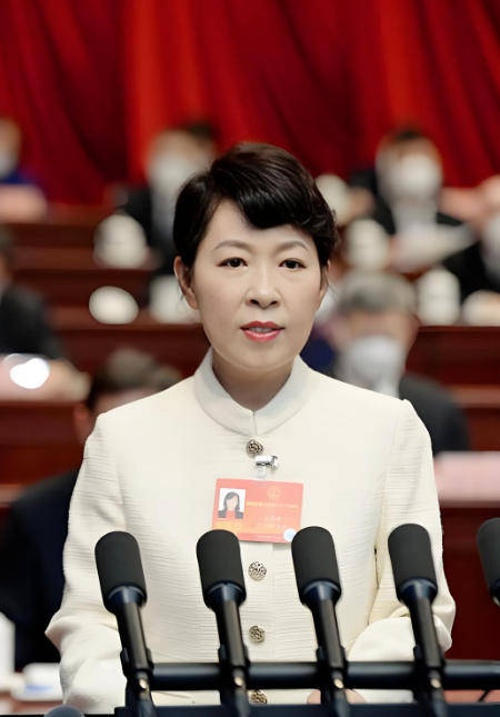 艾里斯vs阿波罗利马素尔_“换装主席”王莉霞的堕落：从光鲜人设到腐败深渊