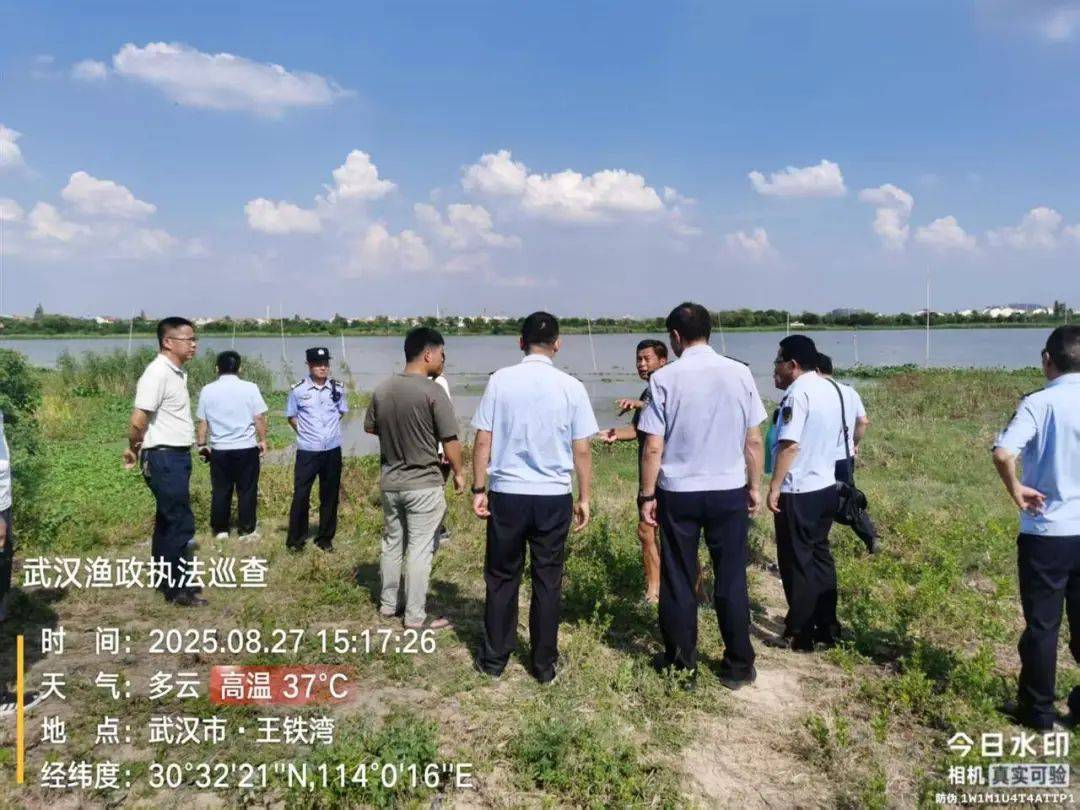 皇冠信用网需要押金吗_武汉发现5条鳄鱼皇冠信用网需要押金吗，已“落网”！系人为放生