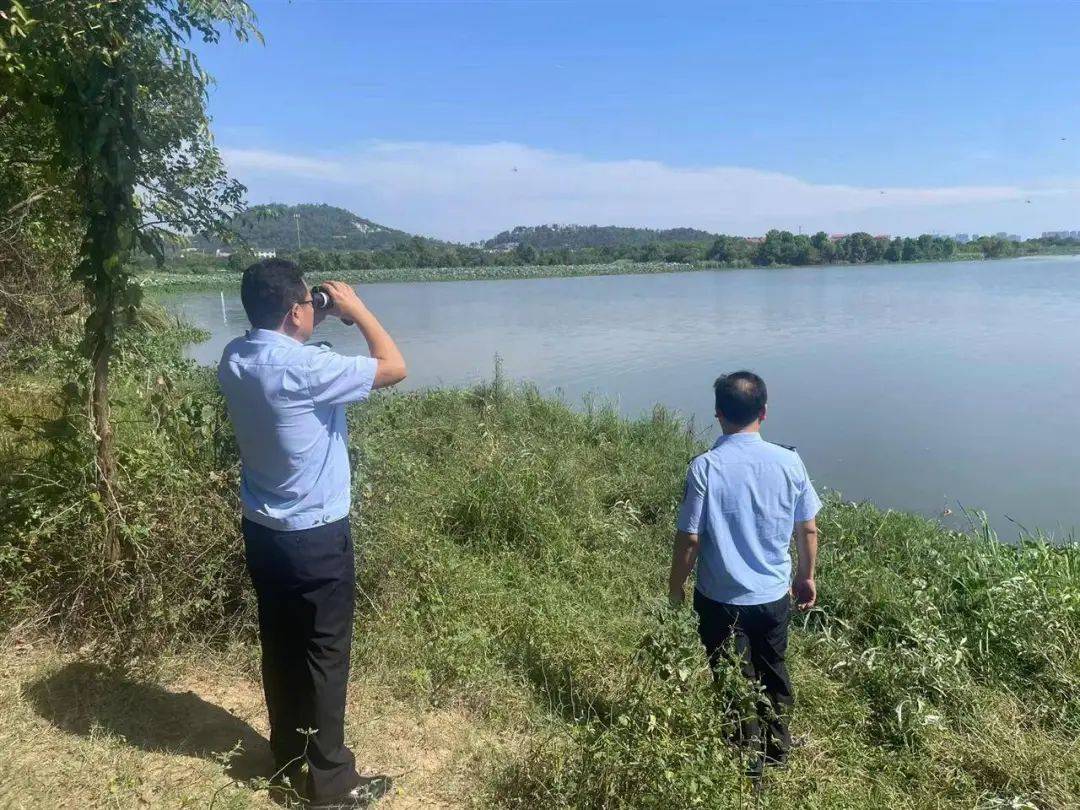 皇冠信用网需要押金吗_武汉发现5条鳄鱼皇冠信用网需要押金吗，已“落网”！系人为放生