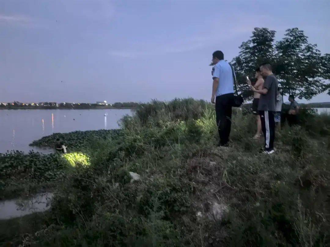 皇冠信用网需要押金吗_武汉发现5条鳄鱼皇冠信用网需要押金吗，已“落网”！系人为放生