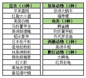 皇冠信用网需要押金吗_武汉发现5条鳄鱼皇冠信用网需要押金吗，已“落网”！系人为放生