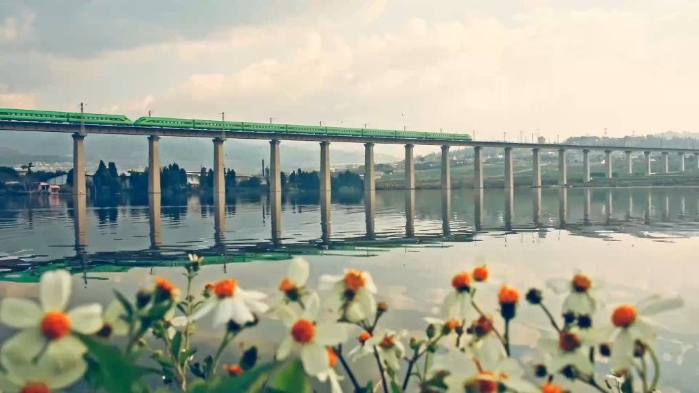 图恩vs草蜢_中越跨境游市场火热 河口北站发送越南旅客同比增长75%